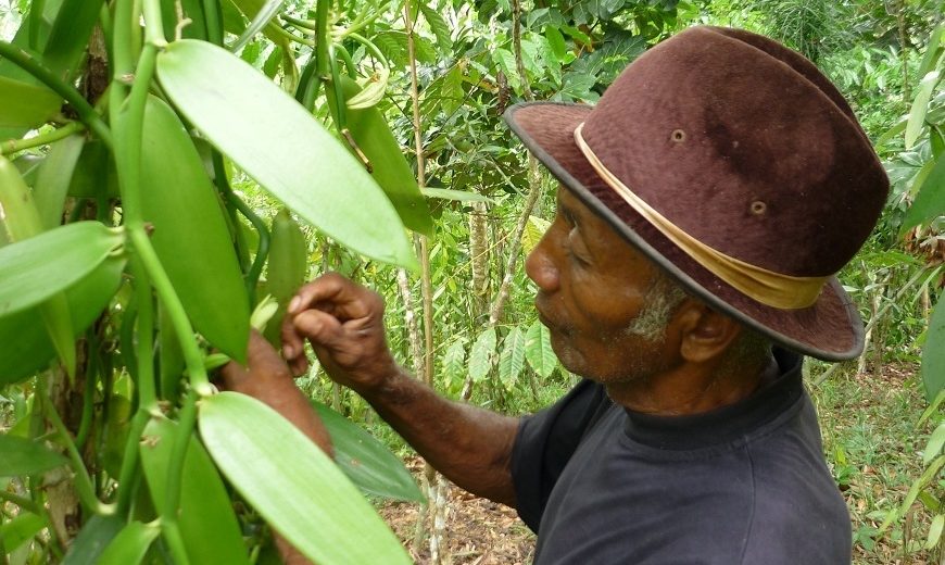 2130 vanilla farmer pollinating 870