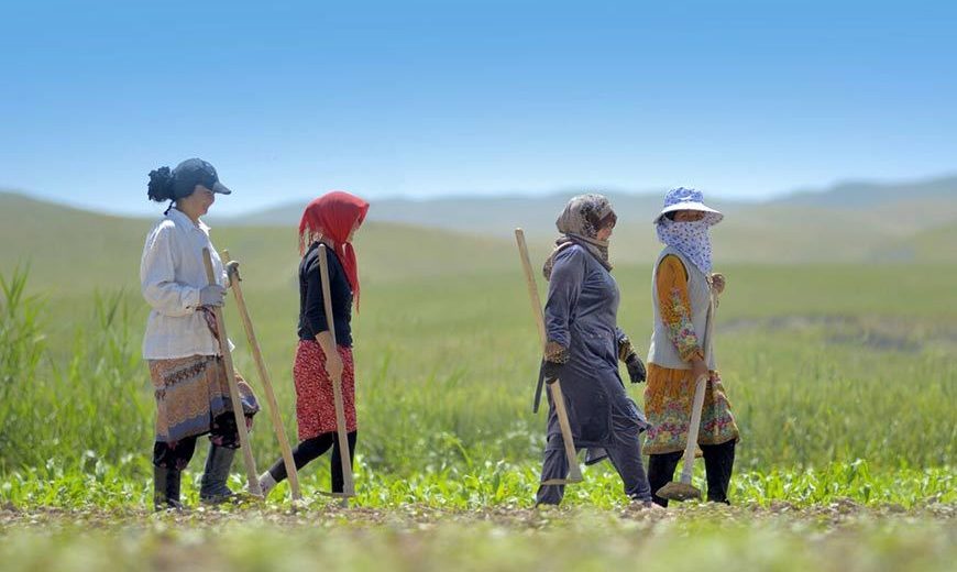 27149 Four Women Farmers Walking 870