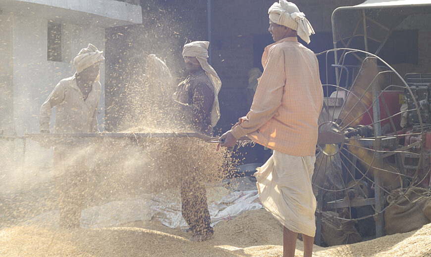 Roorkee Sunstar rice