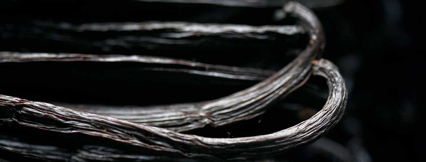 Image of vanilla beans