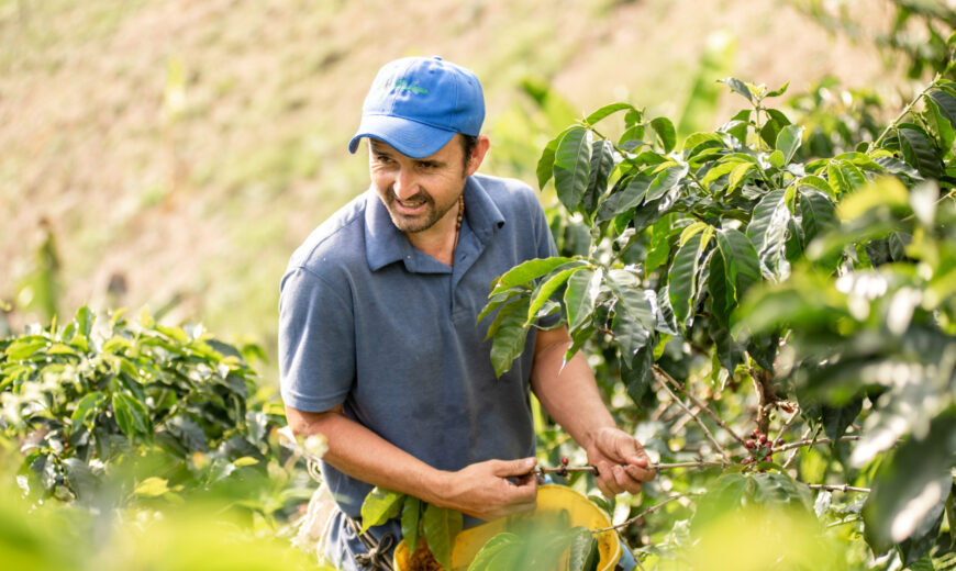 Living Income Project Colombia