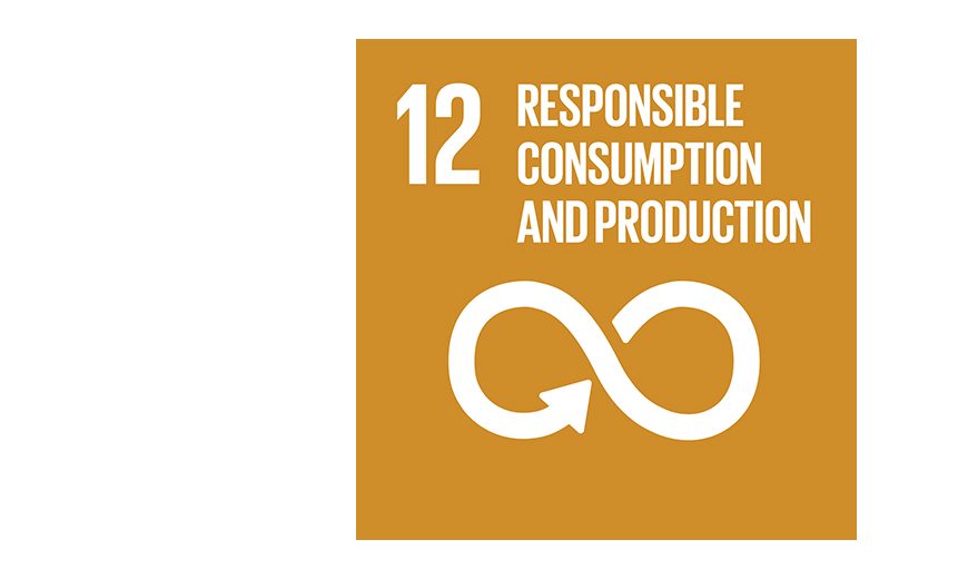 SDG12 off Centre 870