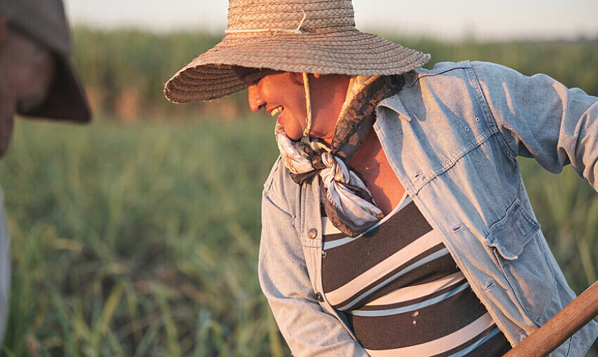 SUGAR CANE IMPACT STORIES UBPC Rodrigo 20131 scr2